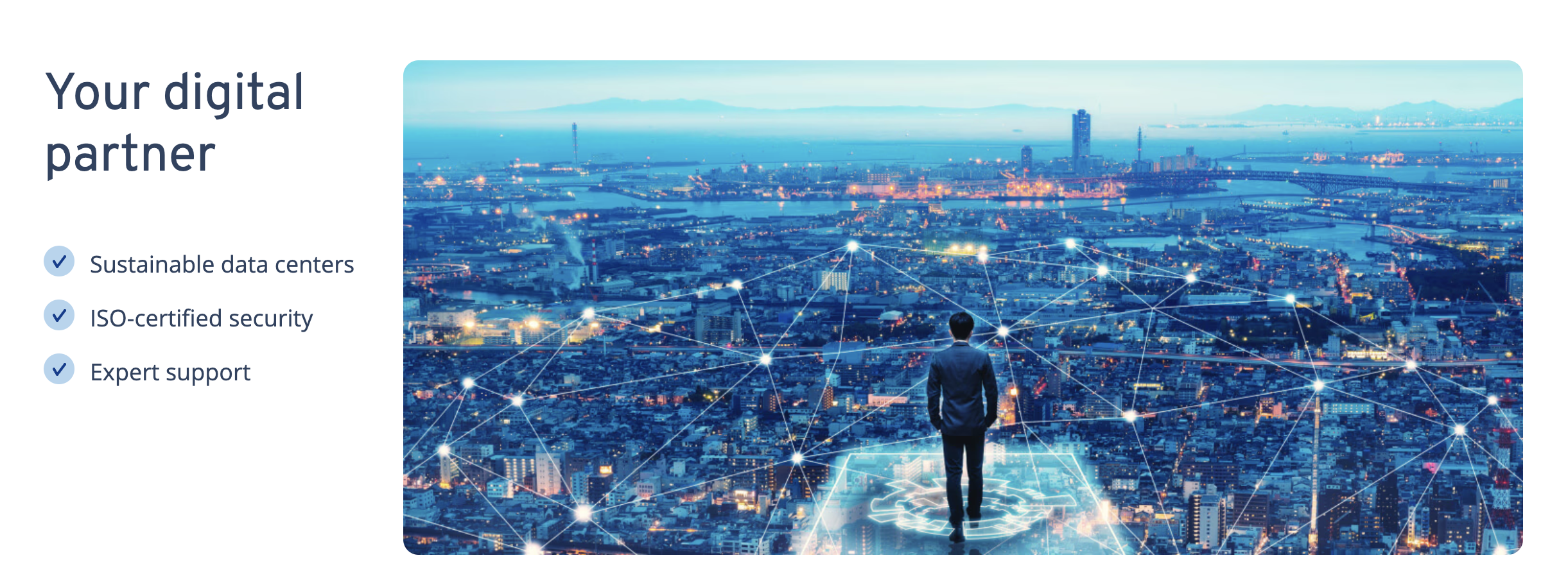 Ionos Hosting is ready to be your digital partner.