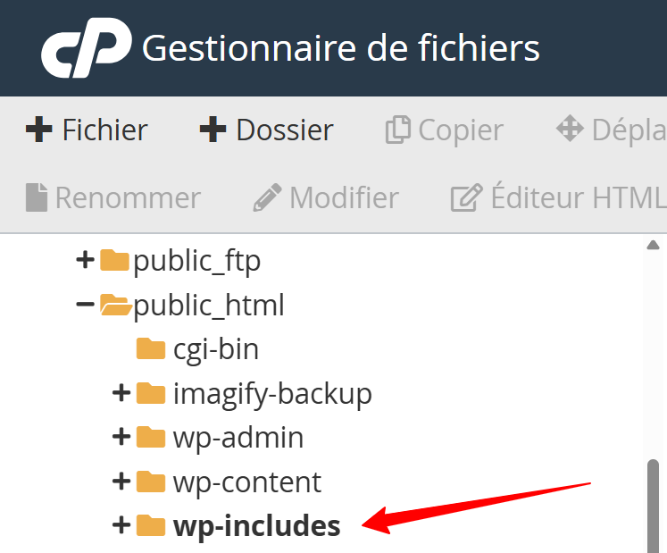 Le gestionnaire de fichiers d'o2Switch