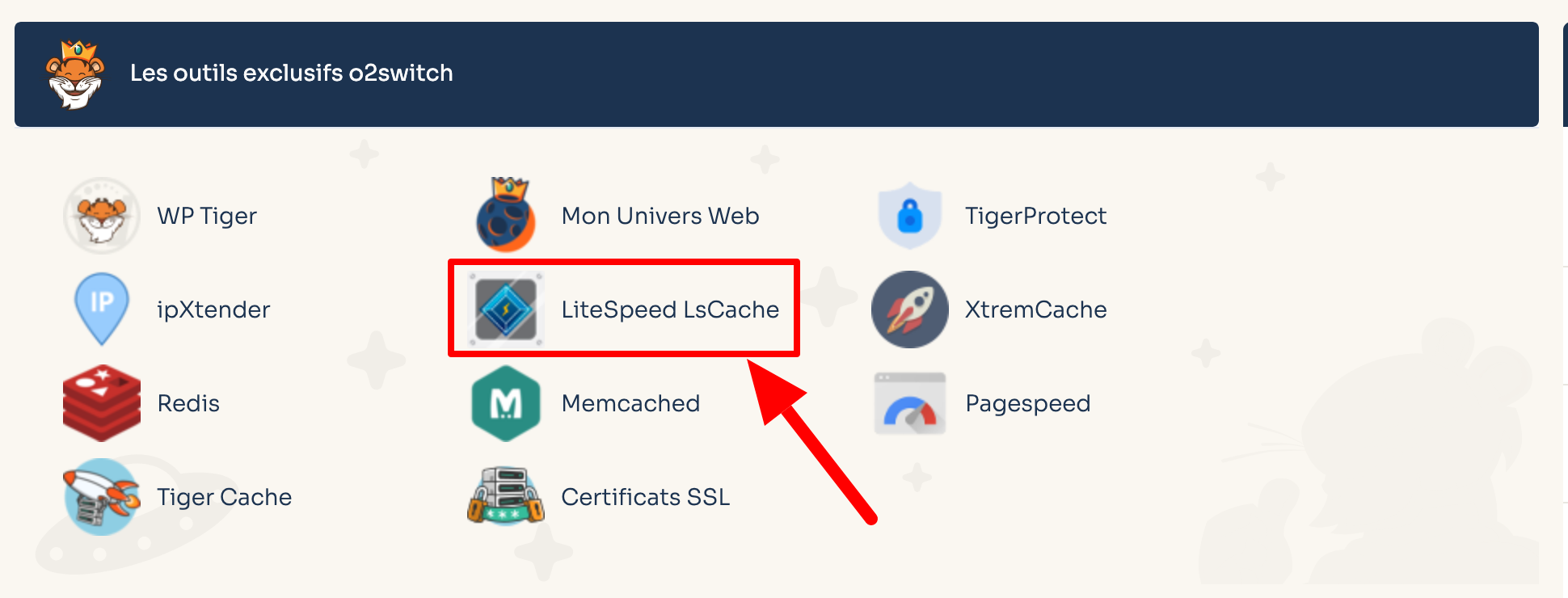 L'outil LiteSpeed LsCache sur le cPanel d'o2switch.