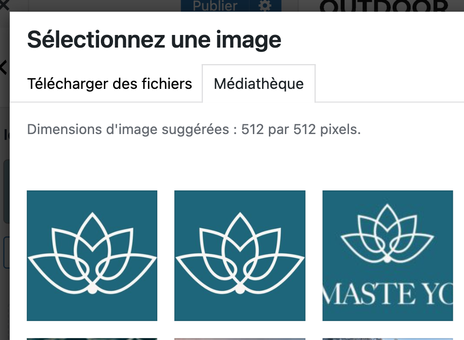 taille-favicon-worpress-512px-512px La taille recommandée par WordPress pour une favicon est 512 x 512 px