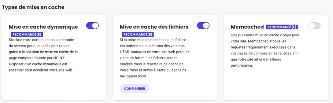 Options de mise en cache de l'extension Speed Optimizer.