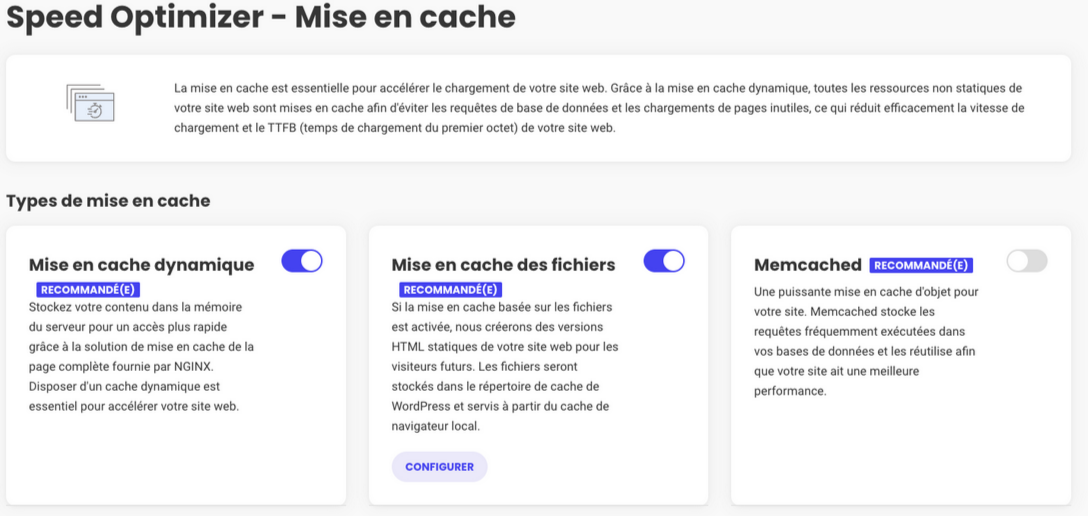 Options de mise en cache de Speed Optimizer.