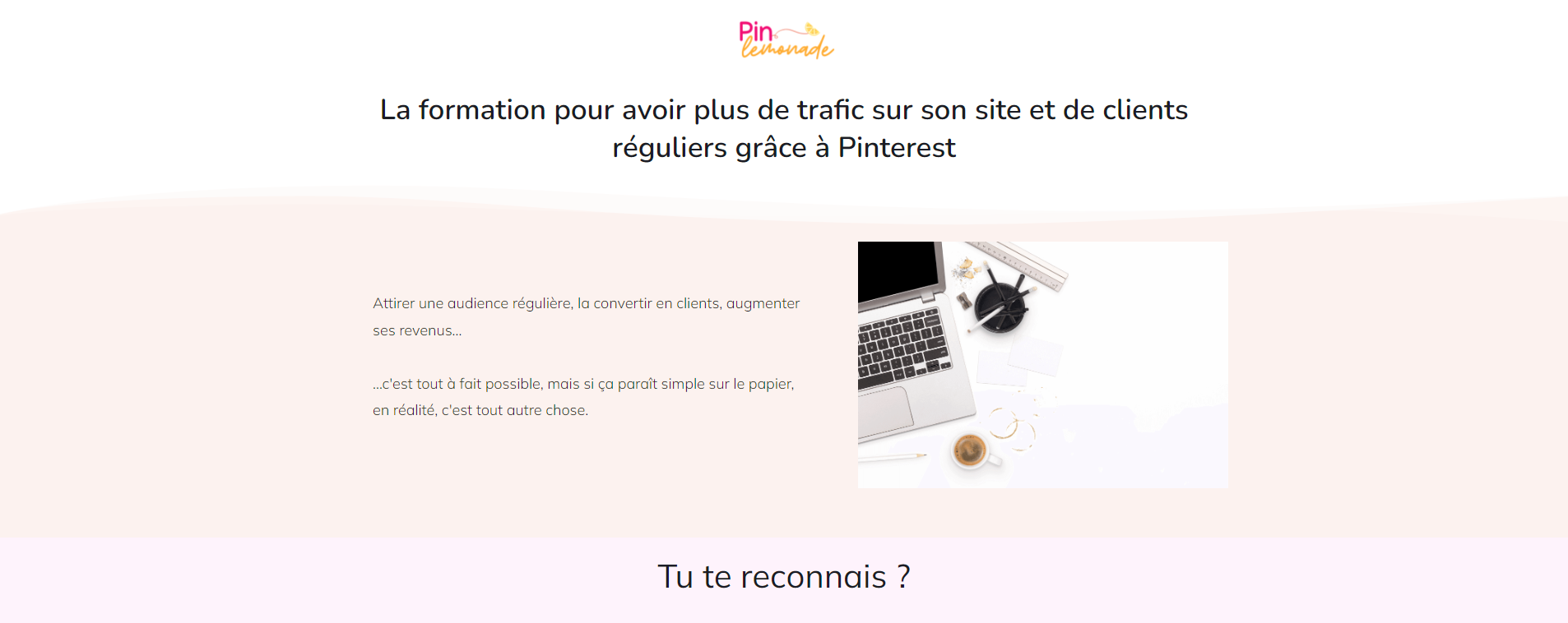Le formation Pinterest du Citron rose