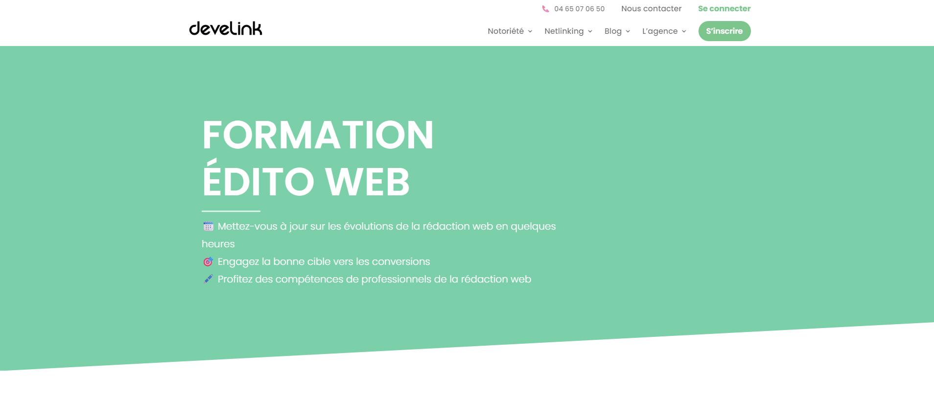 La formation Rédaction web et SEO de Develink