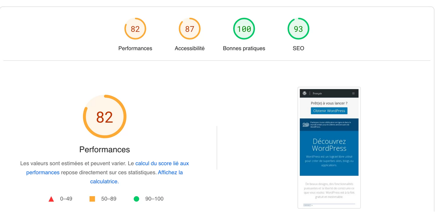 Les résultats de Google Page Speed Insights.
