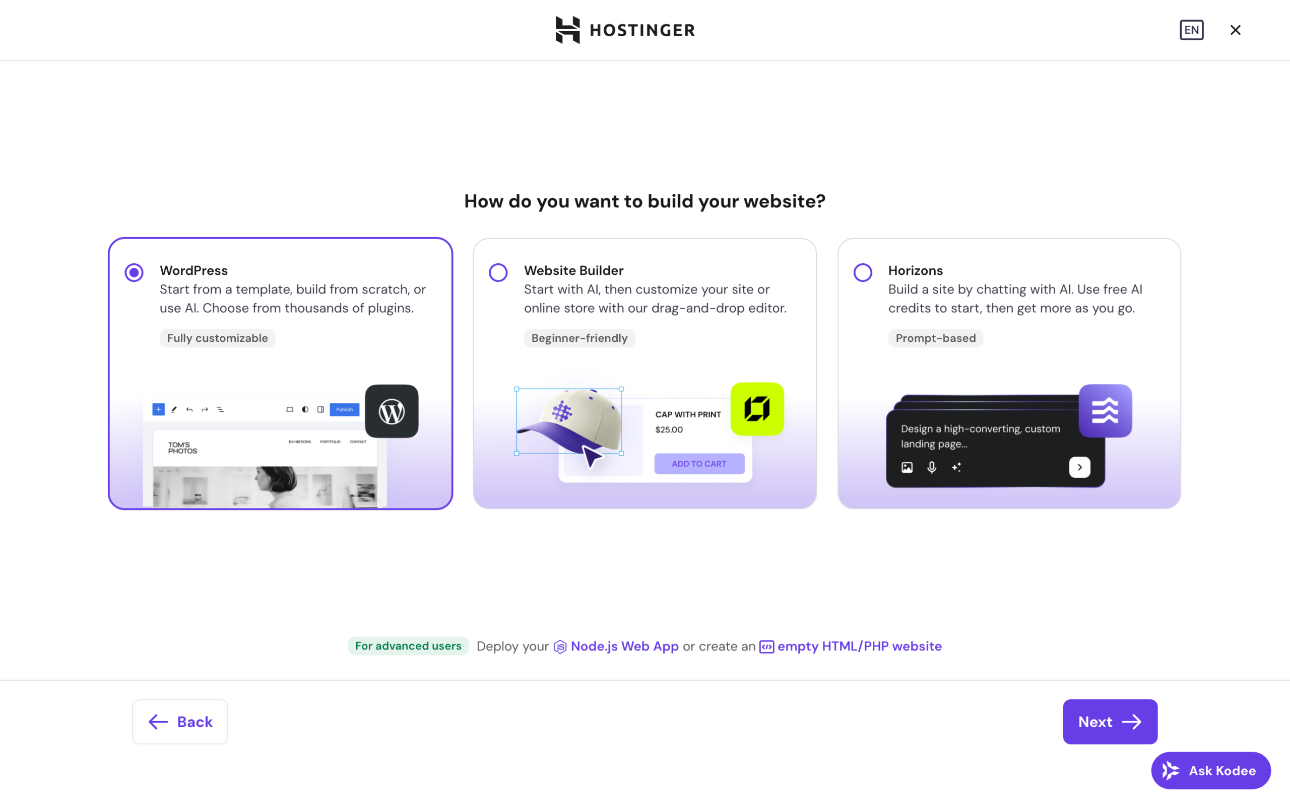 Hostinger website building options.