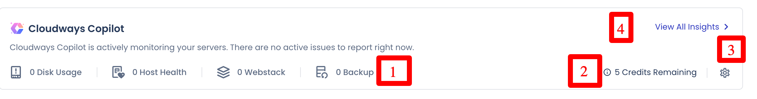Cloudways Copilot dashboard.