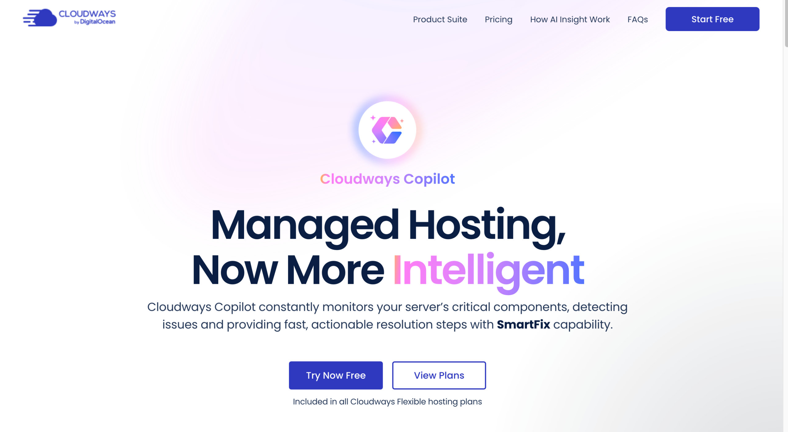 Cloudways Copilot homepage.