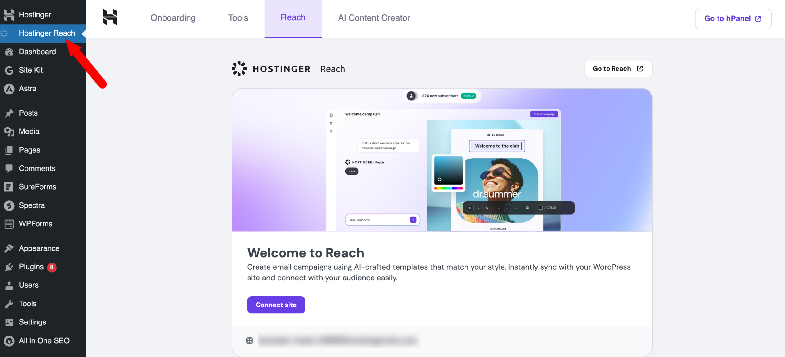 Hostinger Reach email tool.