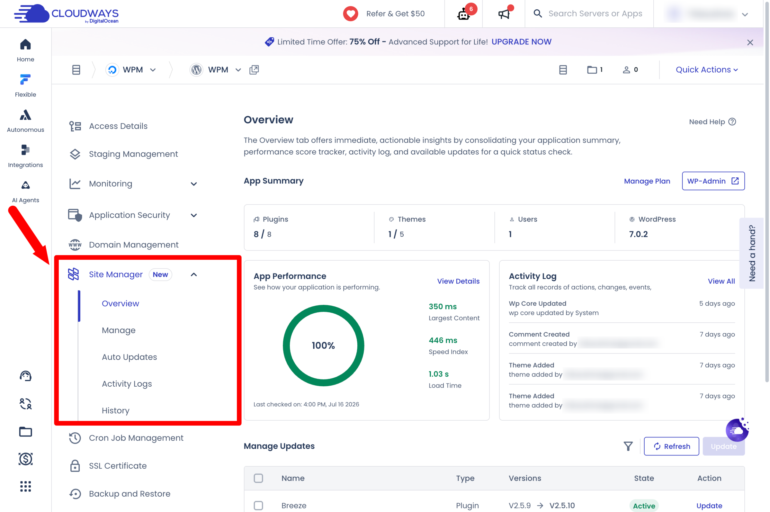 The Overview menu in Cloudways Site Manager.